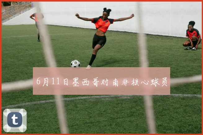 6月11日墨西哥对南非核心球员