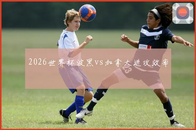 2026世界杯波黑vs加拿大进攻效率