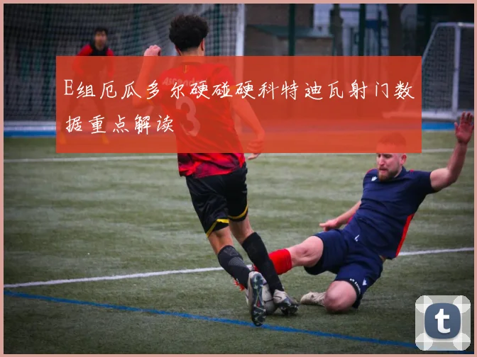 E组厄瓜多尔硬碰硬科特迪瓦射门数据重点解读