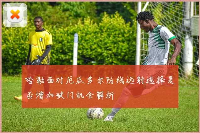 哈勒面对厄瓜多尔防线远射选择是否增加破门机会解析