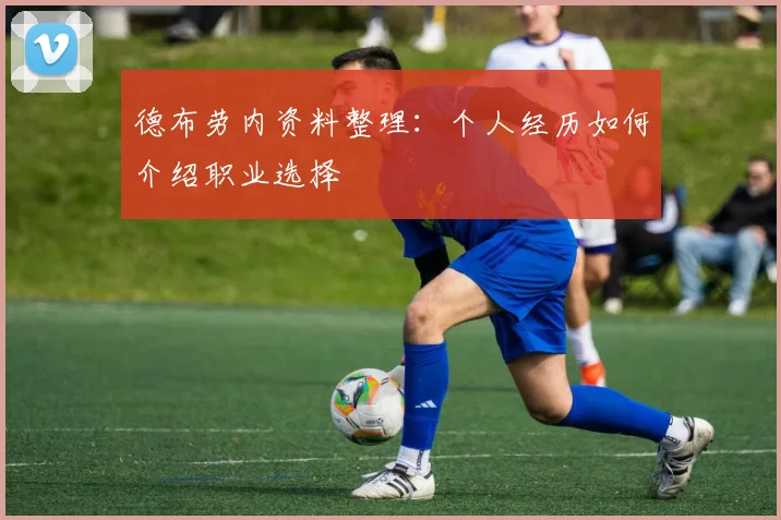 德布劳内资料整理:个人经历如何介绍职业选择