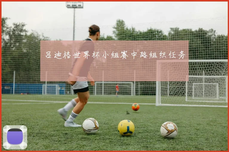 吕迪格世界杯小组赛中路组织任务